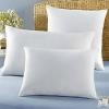 Photo for Global Sleeping Pillow Market Advancements to Watch Out for 2022