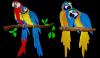 Photo for Embroidery Digitizer Should Always Test Run Designs