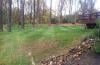 Photo for Columbia Tree & Lawn Service