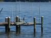 Photo for Weekly Blog Wrap-up of Cecil County Real Estate Happenings April 23, 2011