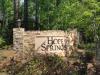 Photo for 100 Trillium Court Lexington SC Home for Sale in Hope Springs Neighborhood