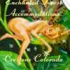 Photo for Enchanted Forest Accommodations Crestone CO