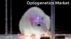 Photo for Optogenetics Market - Global Industry Insights, Trends, Outlook, And Analysis, 2017-2025