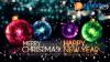 Photo for Christmas & New Year Deal and Discounts