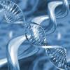 Photo for Global DNA Forensic Market  Outlook 2017-2022