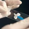 Photo for Global HPV Testing Market Analysis & Outlook to 2022