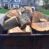 Photo for Darren's Tree Service