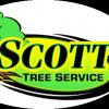 Photo for Scott Tree Service