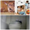 Photo for Plumbing Solutions By Jason Davis