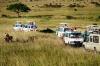 Photo for Mombasa Safari Tours Are Memorable