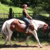 Photo for The Riding Stable LLC