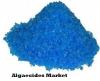 Photo for Algaecides Market Trends Exhibits Big Growth by 2016-2024