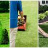 Photo for Vine Community Lawn Service