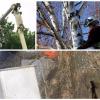 Photo for Expert Lawn And Tree Service