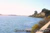Photo for Northern California Coas