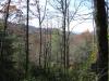Photo for Land for Sale - 22 Cherrywood Lane Pisgah Forest NC  28768