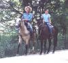 Photo for Scenic Horseback Lessons