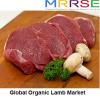 Photo for Global Organic Lamb Market: Processed Lamb to Hold Large Market Share in the Coming Years
