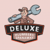 Photo for Deluxe Plumbers Spanaway