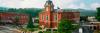 Photo for The 8th Annual White Squirrel Festival - Brevard NC Real Estate