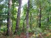 Photo for For Sale Land borders USFS, near Duke Marina...! Steertown Road, Murphy NC 28906