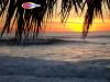 Photo for Real Estate Agent Website Blogs Become Popular for Real Estate Internet Marketing Strategy