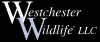 Photo for Westchester Wildlife