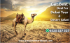 Photo for Evening Desert Safari