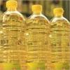 Photo for Global Pine-derived Chemicals Market Explores New Growth Opportunities 2017