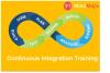 Photo for All About (The) Continuous Integration Certification
