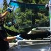 Photo for Elevate Auto Glass