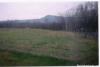 Photo for Creekside: A Country Guest Cottage