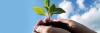 Photo for Trifluralin Market Research Report 2017