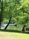 Photo for Summer Time In Murphy NC 28906