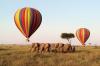 Photo for Serengeti Balloon Safari Tours