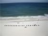 Photo for Gulf Shores Vacation Rental Island Royale 1