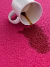 Photo for More 4 Less Carpet Cleaning LLC Aurora