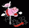 Photo for The Flying Pig