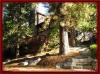 Photo for Bass Lake Vacation Rental The Gaines Burrow