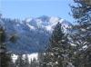 Photo for Squaw Valley, North Shore Vacation Rental Beautifully Updated Squaw Valley Mountain Chalet