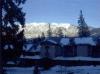 Photo for Durango Vacation Rental Edelweiss #17