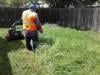 Photo for Sambrano's Lawn Service