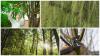 Photo for Skyline Tree Services