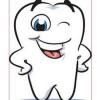 Photo for David Plaut, DMD