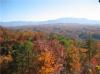 Photo for All About View