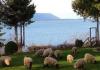 Photo for San Juan Islands Waterfront Vacation - Lummi Beach Haven