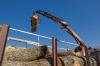 Photo for Tree Woodard Tree Experts