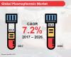 Photo for Industrial Motor Market Forecast, Trend Analysis & Competition Tracking – Global Review 2017 to 2026