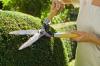 Photo for AAAA's Lanscaping Service