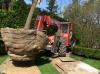 Photo for Urban Arborist